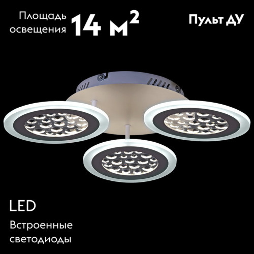 Потолочная люстра Reluce 20491-0.3-03 WT