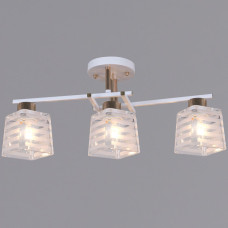 Потолочный светильник Reluce 09260-0.3-03 WH+FG