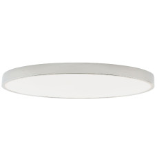 Потолочный светильник Zortes Tortty ZRS.02565.120