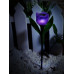 Светильник на солнечных батареях (UL-00004278) Uniel Promo USL-C-453/PT305 Purple Tulip
