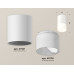 Потолочный светильник Ambrella Light Techno Spot XS7421025 (C7421, N7170)