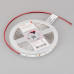 Светодиодная лента Arlight RT-A120-8mm 24V Violet (9.6 W/m, IP20, 2835, 5m) 043384