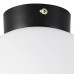 Потолочный светильник Lightstar Globo 812027