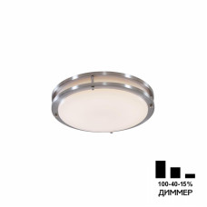 Настенно-потолочный светильник Citilux Бостон CL709201N