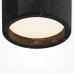 Потолочный светильник Maytoni Basic Texture MOD461CL-01B