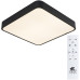 Потолочный светильник Arte Lamp A2663PL-1BK