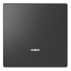 Клавиша одинарная Schneider Electric Merten D-Life MTN3320-6034