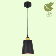 Подвесной светильник Lussole Loft Shirley GRLSP-9861