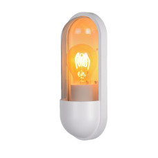 Уличный настенный светильник Lucide Capsule 29897/01/31