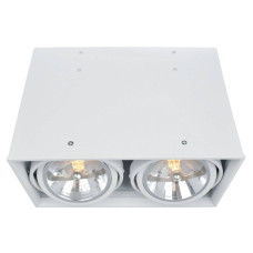 Потолочный светильник Arte Lamp Cardani A5936PL-2WH