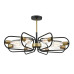 Люстра на штанге Lumion Comfi Almira 8058/8C