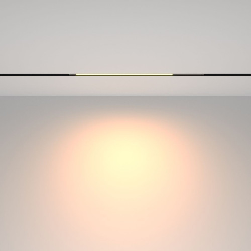 Трековый магнитный светильник Maytoni Technical Basis TR231-2-10W3K-B