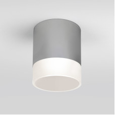 Уличный потолочный светильник Elektrostandard Light LED 4690389177965