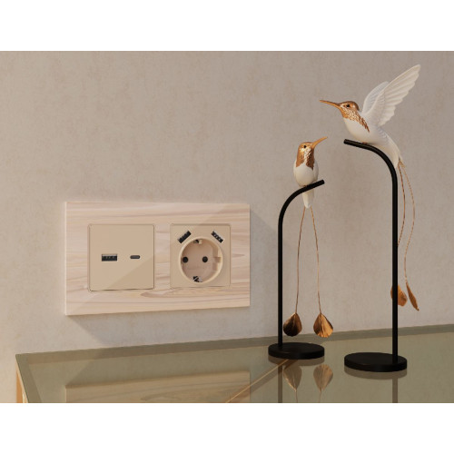 Комплект механизма розетки 2USB A+A 18W (быстрая зарядка) с/з Ambrella Volt Alfa MA309010