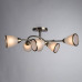 Потолочная люстра Arte Lamp 3 A6059PL-6AB