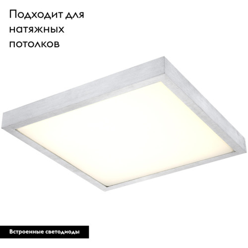 Потолочный светодиодный светильник Globo Tamina 41663