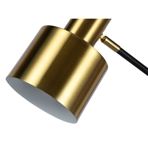 Настольная лампа Zortes DeskLight ZRS.1066.03