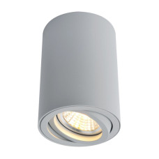 Потолочный светильник Arte Lamp A1560PL-1GY
