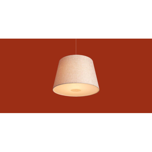 Подвесной светильник Freya Butler FR2057PL-01BG