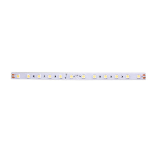 Светодиодная лента DesignLed DSG560-24-W-33 000520