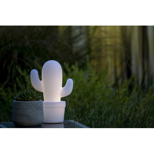 Уличный светодиодный светильник Lucide Cactus 13813/02/31