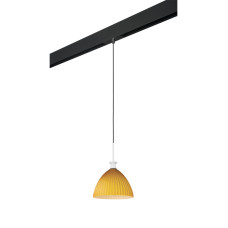 Трековый светильник Lightstar Agola PRO810023 (810023+595007)