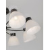 Люстра на штанге Rivoli Aemilia 9185-308 Б0069950