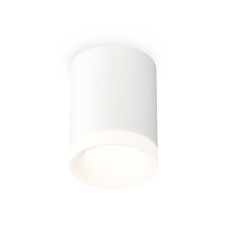Потолочный светильник Ambrella Light Techno Spot XS7421024 (C7421, N7165)
