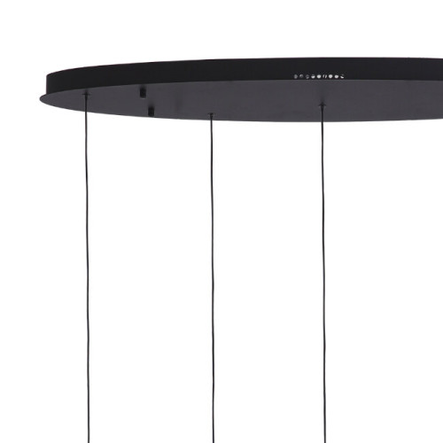 Подвесной светильник Lumien Hall Danay LH8027/5P-BK-PBK