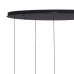Подвесной светильник Lumien Hall Danay LH8027/5P-BK-PBK