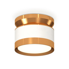 Потолочный светильник Ambrella Light Techno Spot XS8101060 (N8909, C8101, N8124)