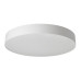 Потолочный светильник Citilux Bart CL755490