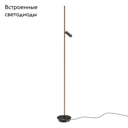 Торшер Maytoni Thin MOD395FL-L28B3K