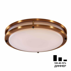 Настенно-потолочный светильник Citilux Бостон CL709503N
