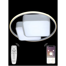 Потолочная люстра Natali Kovaltseva HIGH-TECH LED LAMPS 82002