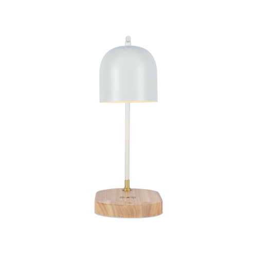 Настольная лампа Zortes DeskLight ZRS.1066.02