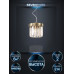 Подвесной светильник Lumien Hall Daneil LH0057/2P-BR-CL