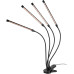 Светильник для растений Эра FITO-40W-АLED-RaL Б0068288