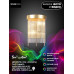 Настенный светильник Lumien Hall Dzhozu LH0063/2W-GD-CL