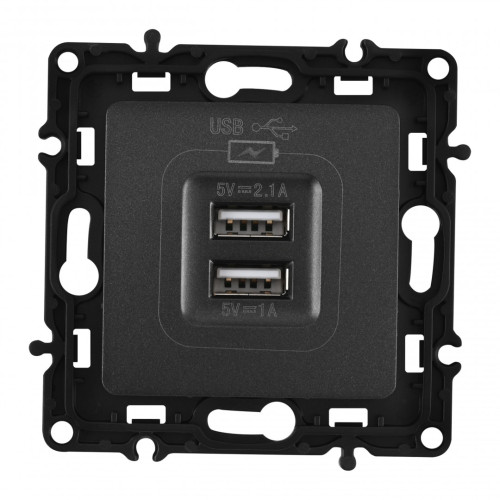 Розетка USB 2.1А+1А Arte Milano 217.46-1.black