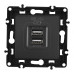 Розетка USB 2.1А+1А Arte Milano 217.46-1.black
