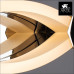 Настенный светодиодный светильник Arte Lamp 38 A9443AP-2CC