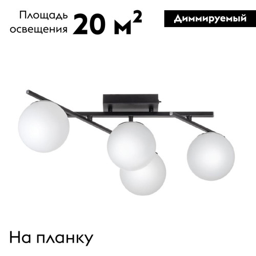Настенно-потолочный светильник Citilux Dorsy CL223142