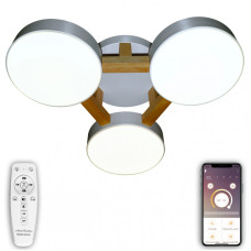 Потолочный светильник Natali Kovaltseva LED LAMPS 81327
