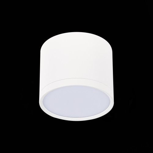Потолочный светильник ST Luce Rene ST113.542.09