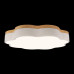 Потолочный светильник Loft IT Axel 10225/36 White