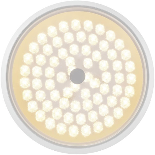 Потолочный светильник Freya Cells FR10012CL-L24W