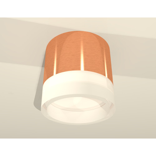 Потолочный светильник Ambrella Light Techno Spot XS8122010 (C8122, N8401)