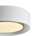 Потолочный светильник Freya Cozy FR6170CL-L52BS