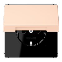 Розетка 2K+З с крышкой Jung LC1520BFKL228